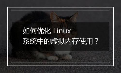 如何优化 Linux 系统中的虚拟内存使用?
