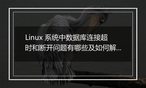 Linux 系统中数据库连接超时和断开问题有哪些及如何解决？