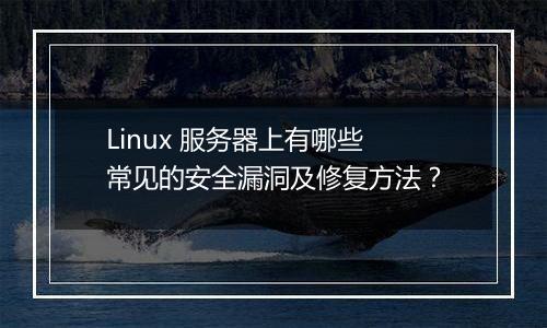 Linux 服务器上有哪些常见的安全漏洞及修复方法？