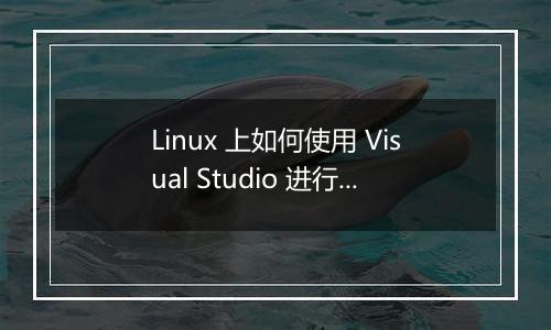Linux 上如何使用 Visual Studio 进行物联网可视化开发?
