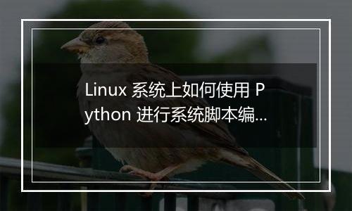 Linux 系统上如何使用 Python 进行系统脚本编程?