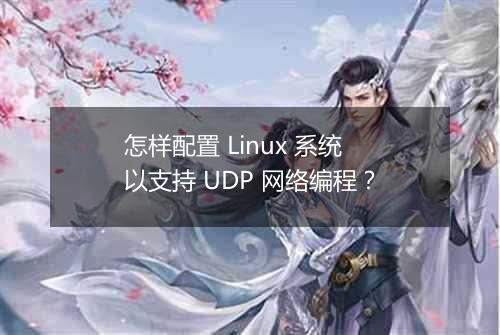 怎样配置 Linux 系统以支持 UDP 网络编程?