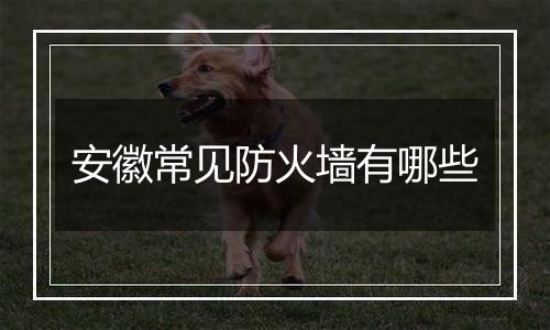 安徽常见防火墙有哪些