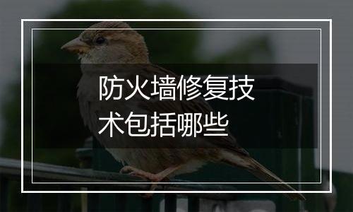 防火墙修复技术包括哪些