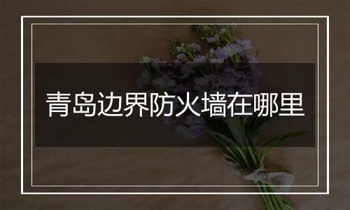 青岛边界防火墙在哪里