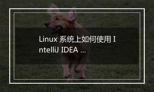 Linux 系统上如何使用 IntelliJ IDEA 进行区块链开发?