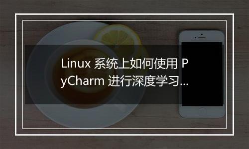 Linux 系统上如何使用 PyCharm 进行深度学习？