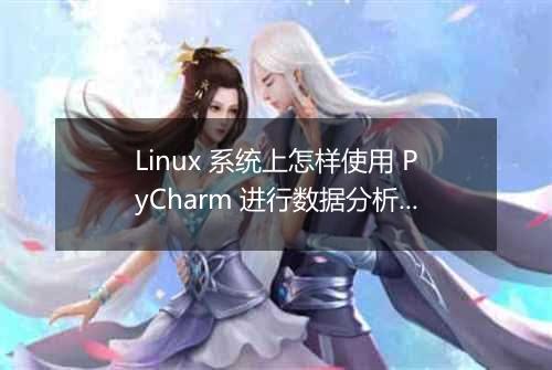 Linux 系统上怎样使用 PyCharm 进行数据分析?