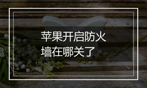 苹果开启防火墙在哪关了