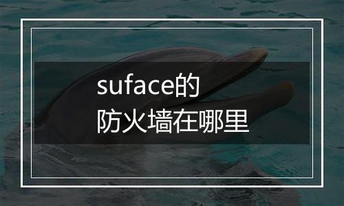suface的防火墙在哪里