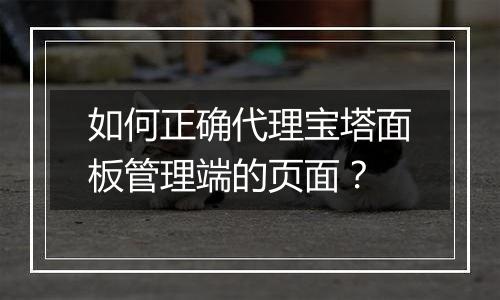如何正确代理宝塔面板管理端的页面?