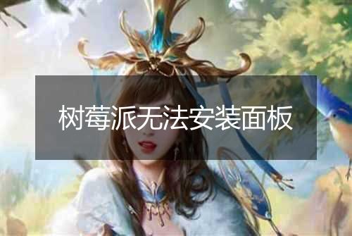 树莓派无法安装面板