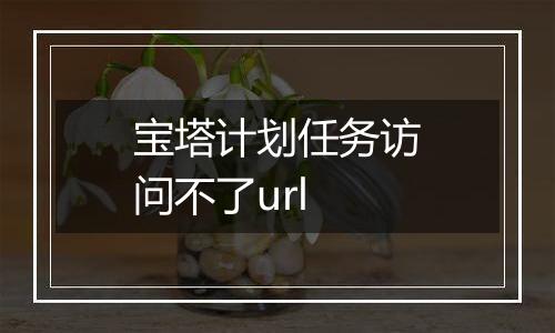 宝塔计划任务访问不了url