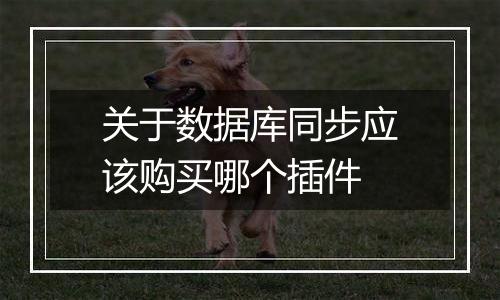 关于数据库同步应该购买哪个插件