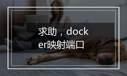 求助，docker映射端口
