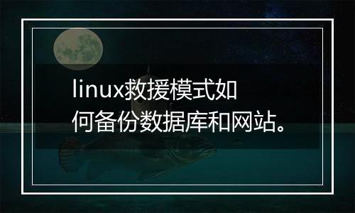 linux救援模式如何备份数据库和网站。