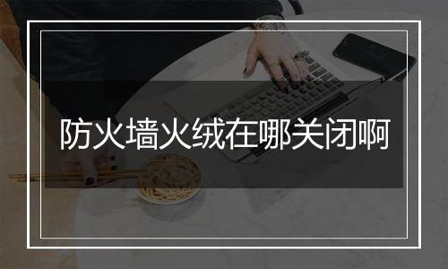 防火墙火绒在哪关闭啊