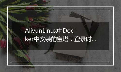 AliyunLinux中Docker中安装的宝塔，登录时绑定宝