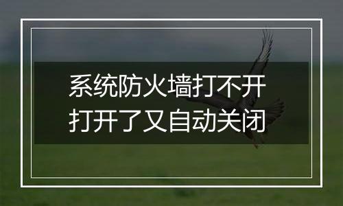 系统防火墙打不开 打开了又自动关闭