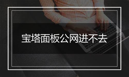 宝塔面板公网进不去
