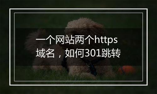 一个网站两个https域名，如何301跳转