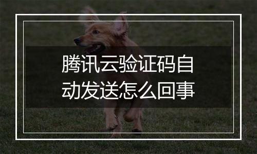 腾讯云验证码自动发送怎么回事