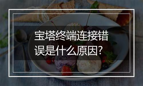 宝塔终端连接错误是什么原因?