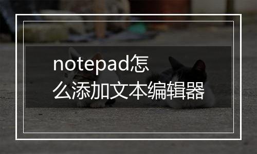 notepad怎么添加文本编辑器