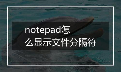 notepad怎么显示文件分隔符