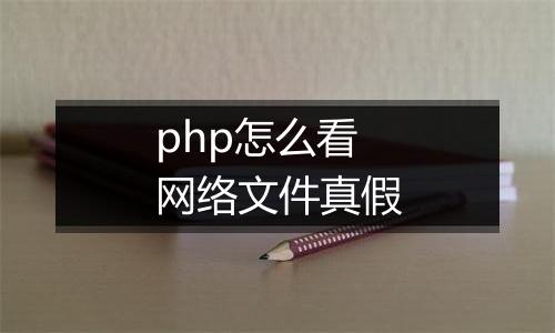 php怎么看网络文件真假