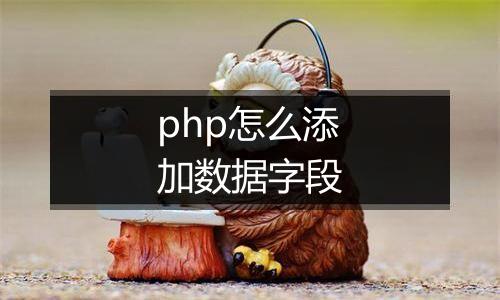 php怎么添加数据字段