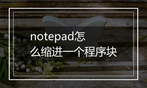 notepad怎么缩进一个程序块