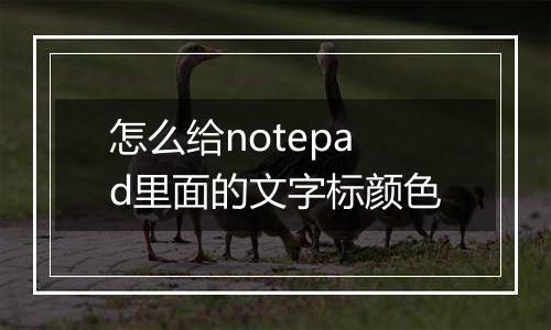 怎么给notepad里面的文字标颜色