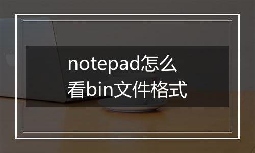 notepad怎么看bin文件格式