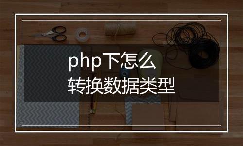 php下怎么转换数据类型