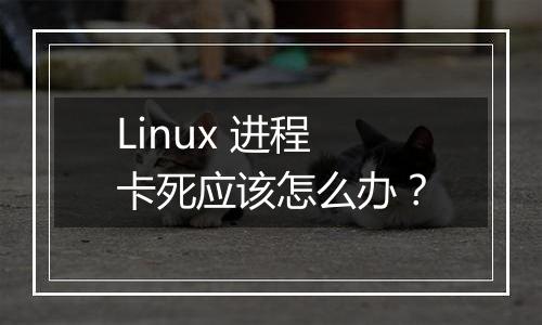 Linux 进程卡死应该怎么办？