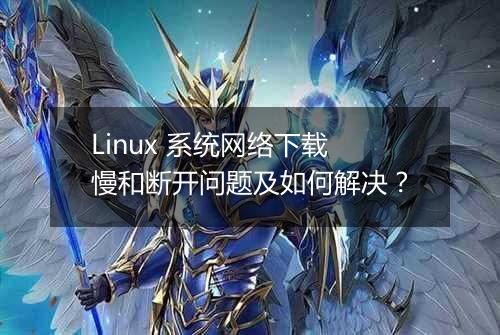 Linux 系统网络下载慢和断开问题及如何解决?