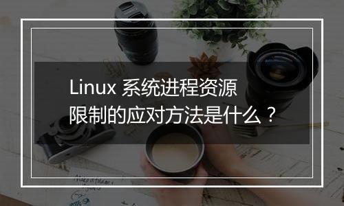 Linux 系统进程资源限制的应对方法是什么?