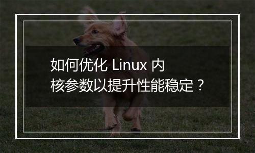 如何优化 Linux 内核参数以提升性能稳定？