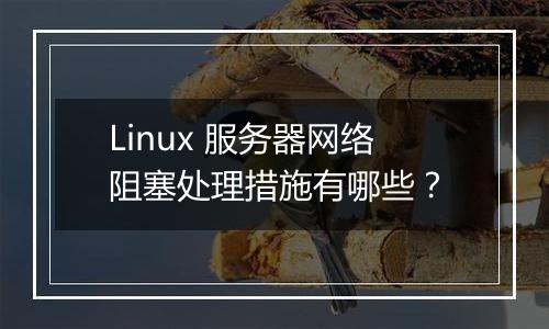 Linux 服务器网络阻塞处理措施有哪些?
