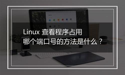 Linux 查看程序占用哪个端口号的方法是什么？