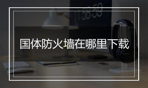 国体防火墙在哪里下载