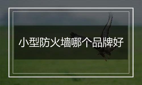 小型防火墙哪个品牌好