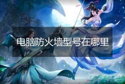 电脑防火墙型号在哪里