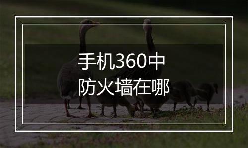 手机360中防火墙在哪
