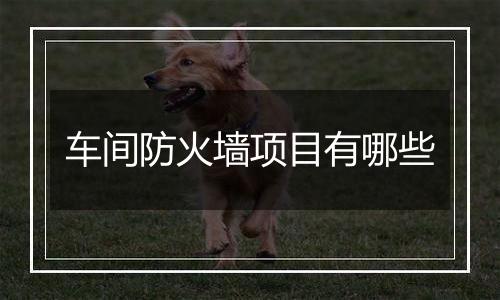 车间防火墙项目有哪些