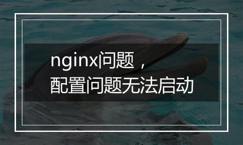 nginx问题,配置问题无法启动