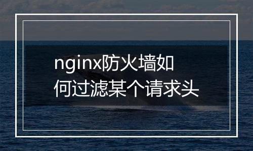 nginx防火墙如何过滤某个请求头