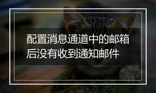 配置消息通道中的邮箱后没有收到通知邮件