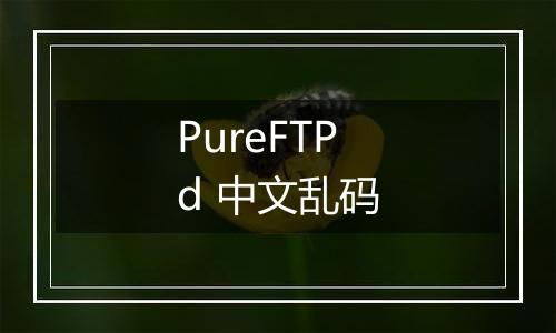 PureFTPd 中文乱码